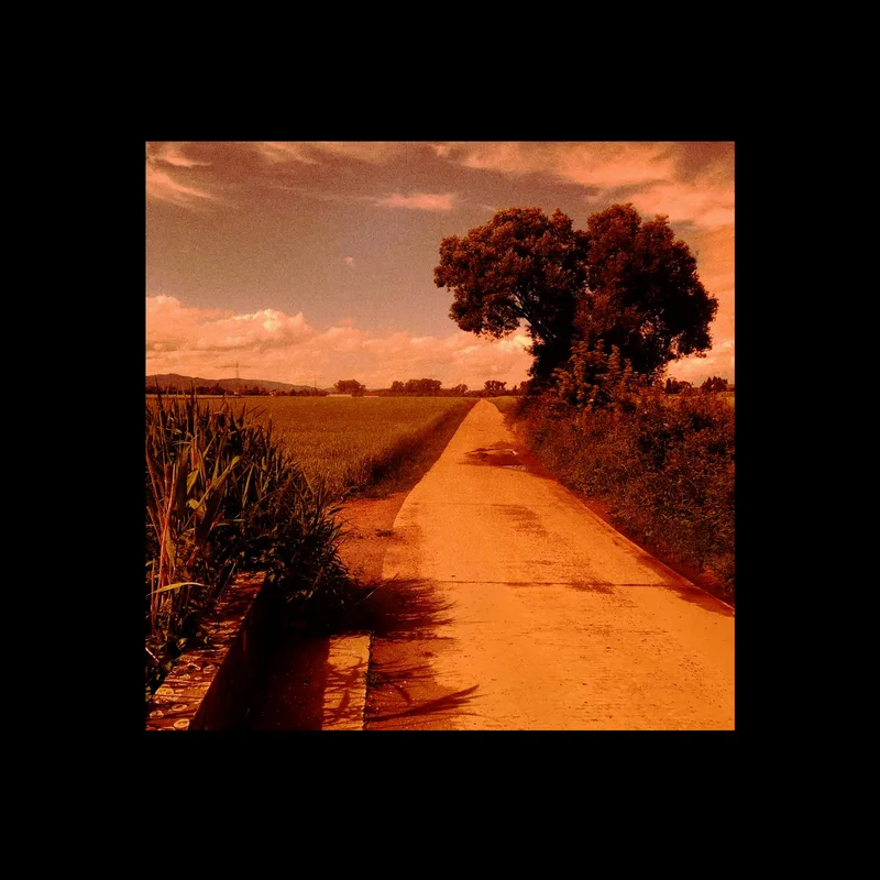 Cover art for Luna